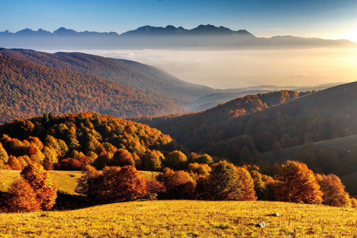 Nel Bosco del Cansiglio, Dimora del Cervo e Fiaba d’Autunno Nel Bosco del Cansiglio, Dimora del Cervo e Fiaba d’Autunno desktop picture