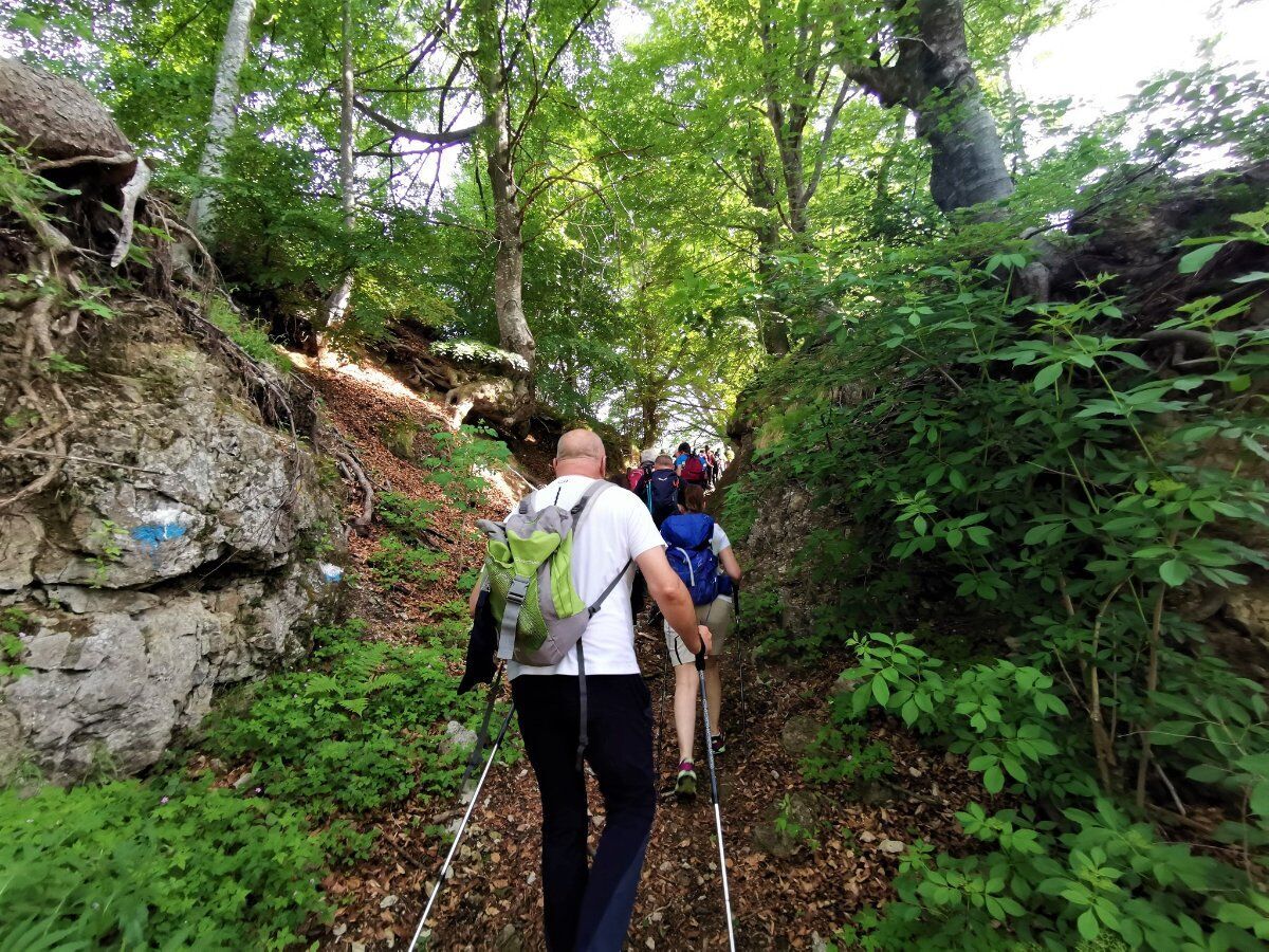 In vetta al Monte Ario: Trekking tra sconfinati orizzonti desktop picture