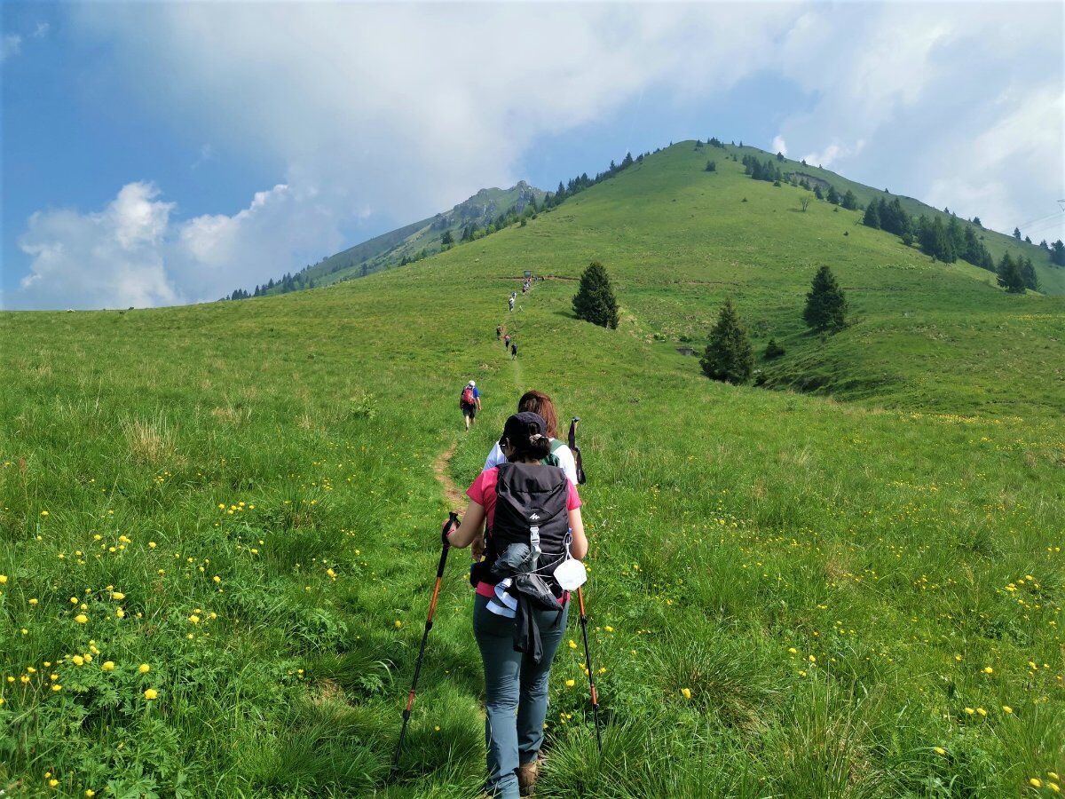 In vetta al Monte Ario: Trekking tra sconfinati orizzonti In vetta al Monte Ario: Trekking tra sconfinati orizzonti desktop picture