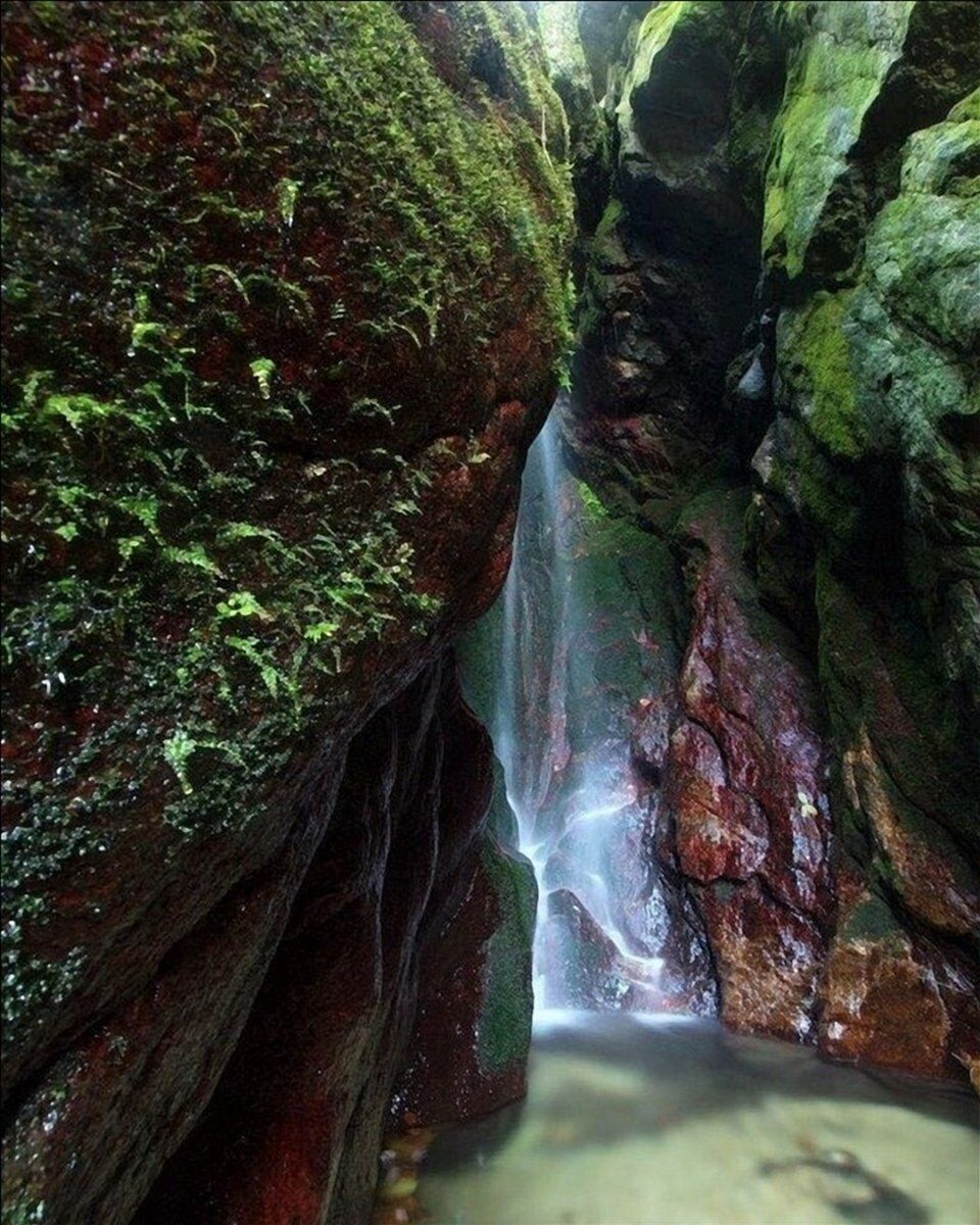 Escursione nella storia: dalla Rocca dei Catari all'Orrido delle Barme desktop picture