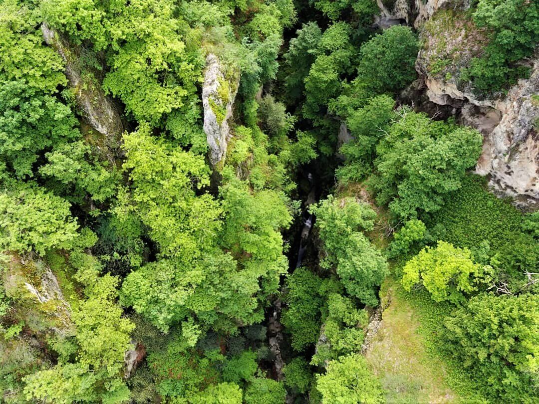 Escursione nella storia: dalla Rocca dei Catari all'Orrido delle Barme desktop picture