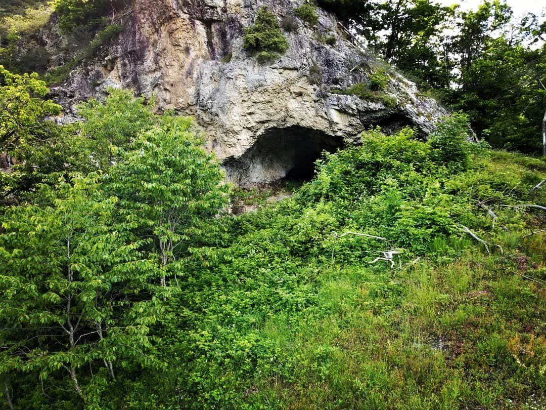 Escursione nella storia: dalla Rocca dei Catari all'Orrido delle Barme desktop picture