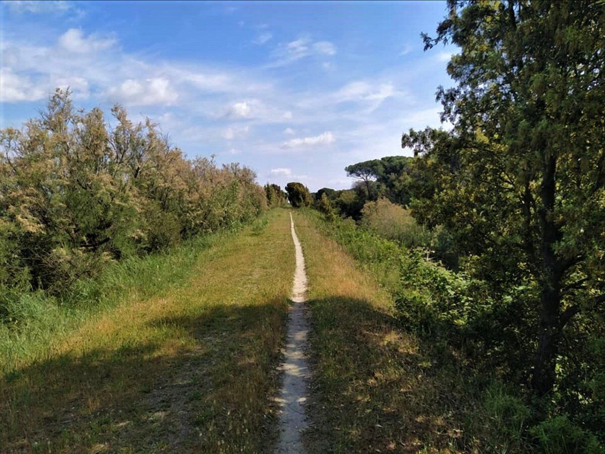 Passeggiata tra le Foci del Po di Volano e l’Abbazia di Pomposa desktop picture