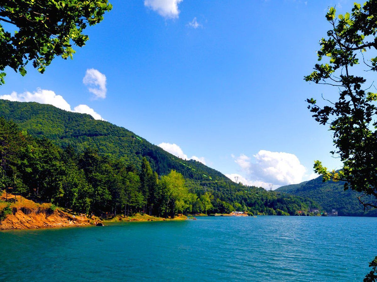 Escursione di Osservazione Faunistica: maestosi cervi e secolari castagni al Parco dei Due Laghi desktop picture