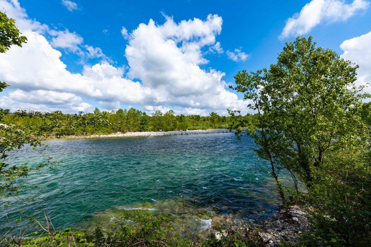 Il “Fiume Azzurro”: Passeggiata nel Parco Naturale del Ticino desktop picture