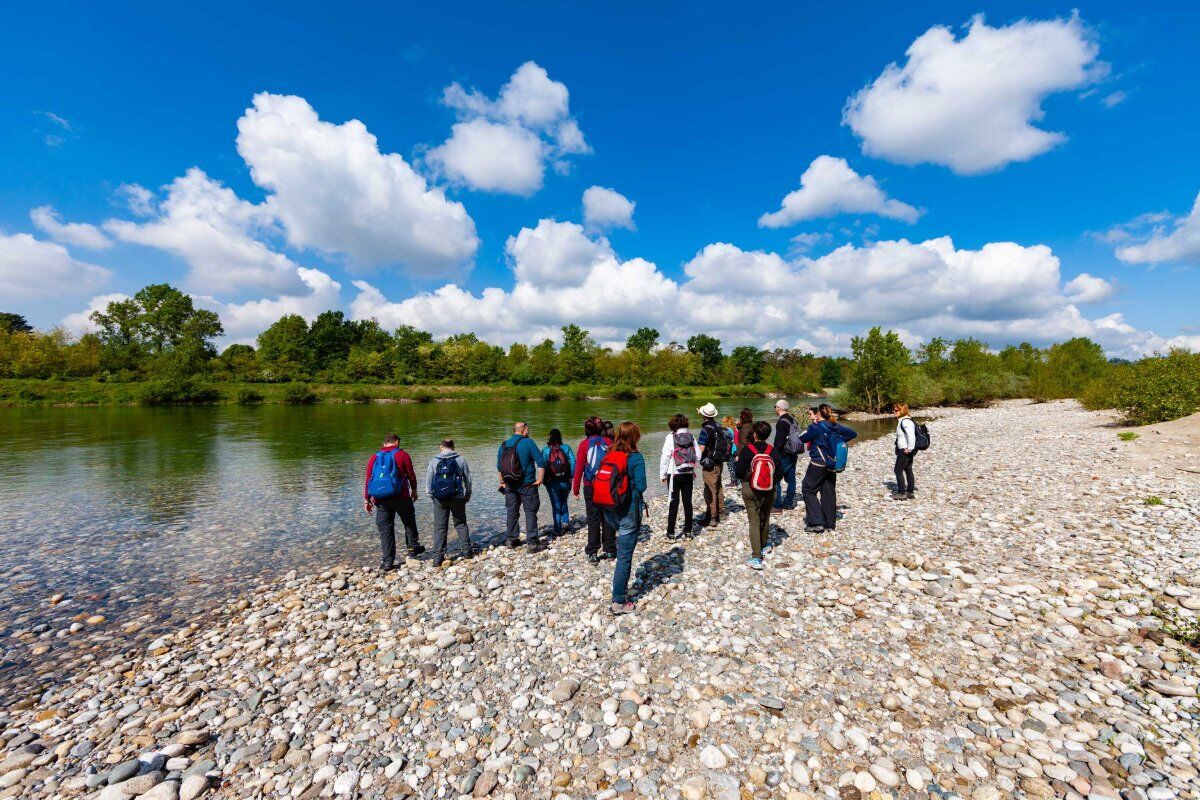 Il “Fiume Azzurro”: Passeggiata nel Parco Naturale del Ticino desktop picture