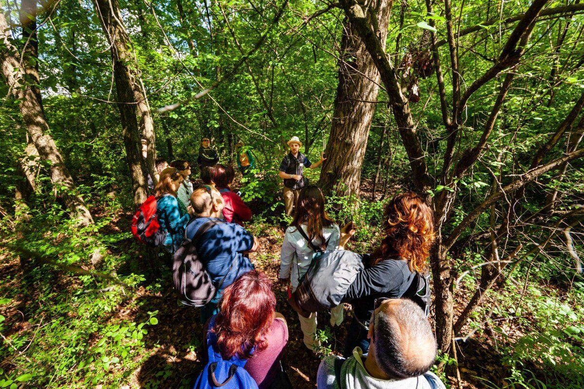 Il “Fiume Azzurro”: Passeggiata nel Parco Naturale del Ticino desktop picture