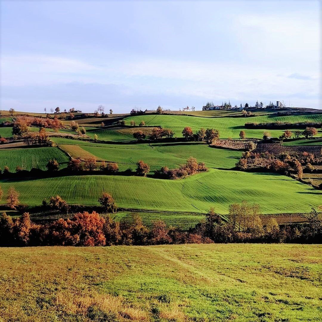 Sui Sentieri dell'Oltrepò Pavese Sui Sentieri dell'Oltrepò Pavese desktop picture