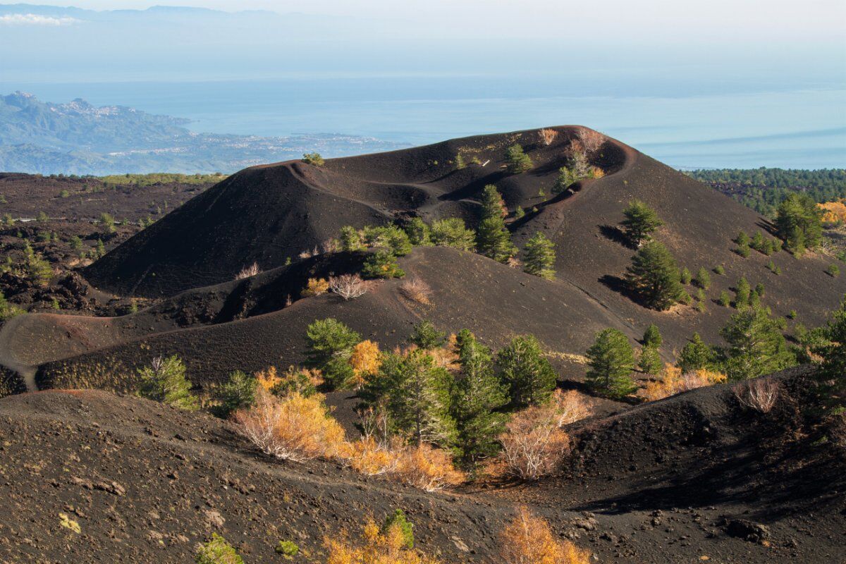 Sul Versante Orientale dell'Etna, Tra Boschi Nordici e Antichi Crateri desktop picture