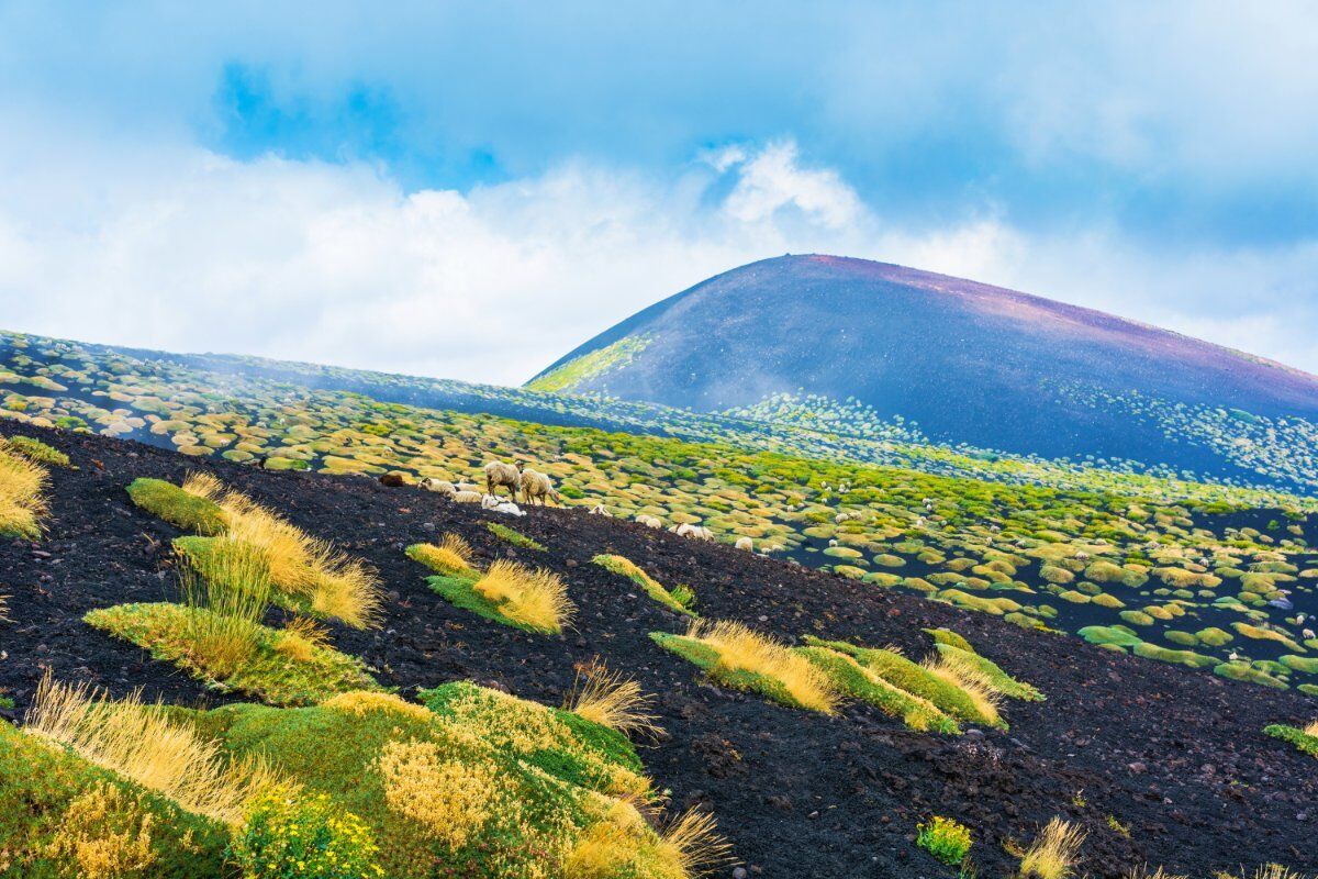Sul Versante Orientale dell'Etna, Tra Boschi Nordici e Antichi Crateri Sul Versante Orientale dell'Etna, Tra Boschi Nordici e Antichi Crateri desktop picture