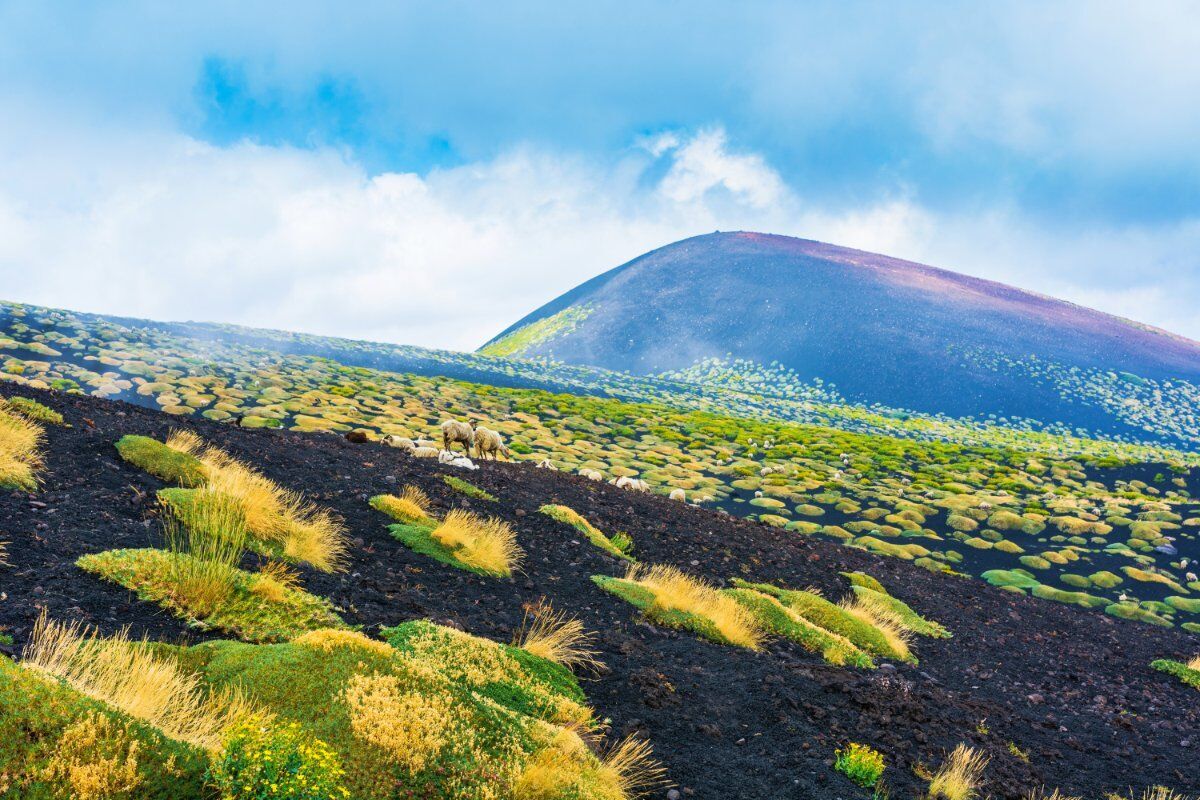 Sul Versante Orientale dell'Etna, Tra Boschi Nordici e Antichi Crateri desktop picture