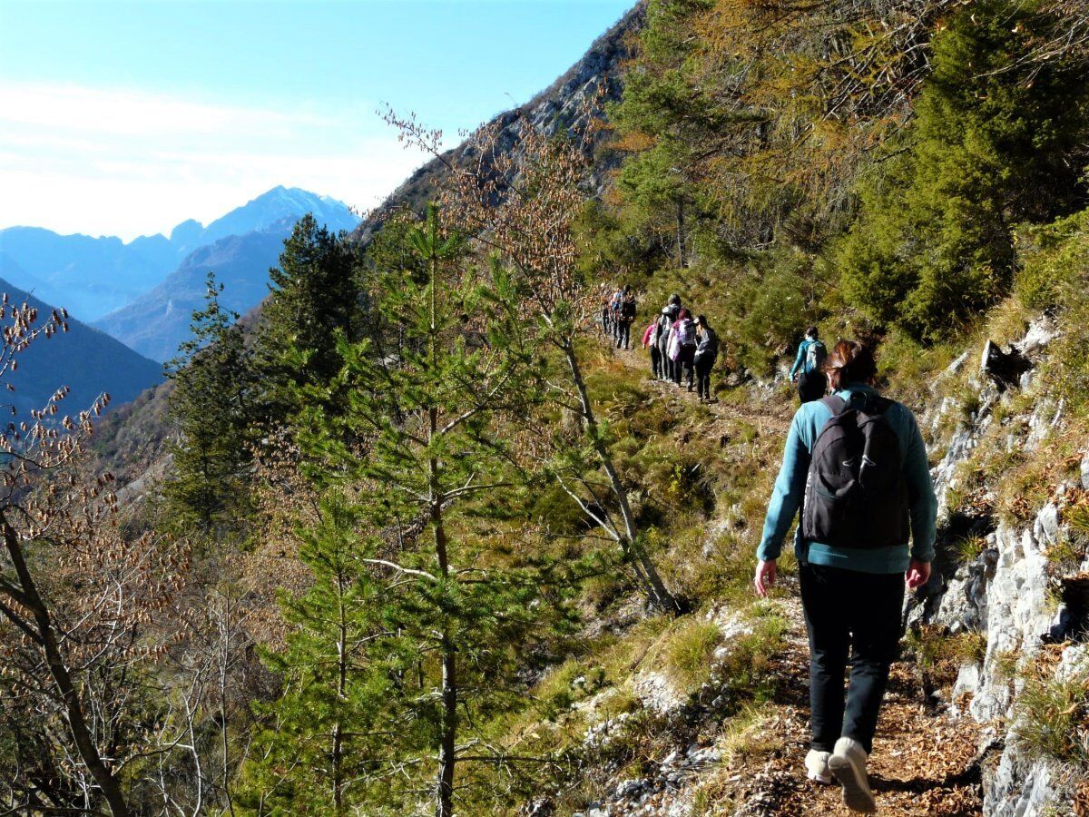 Il Vajont e il Sentiero dei Carbonai: Quando il Passato Resta Presente Il Vajont e il Sentiero dei Carbonai: Quando il Passato Resta Presente desktop picture