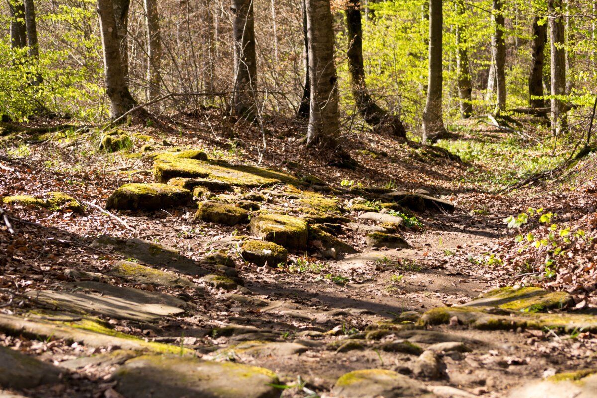 La Via degli Dei: Una Camminata nella Storia - MATTINA desktop picture