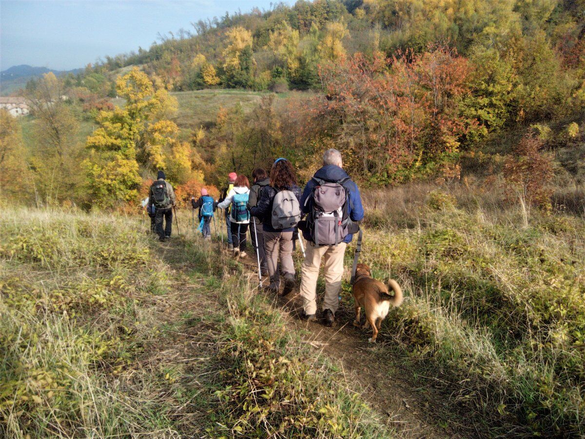 Borghi in Appennino: Trekking lungo i Sentieri di Sassi di Varana desktop picture