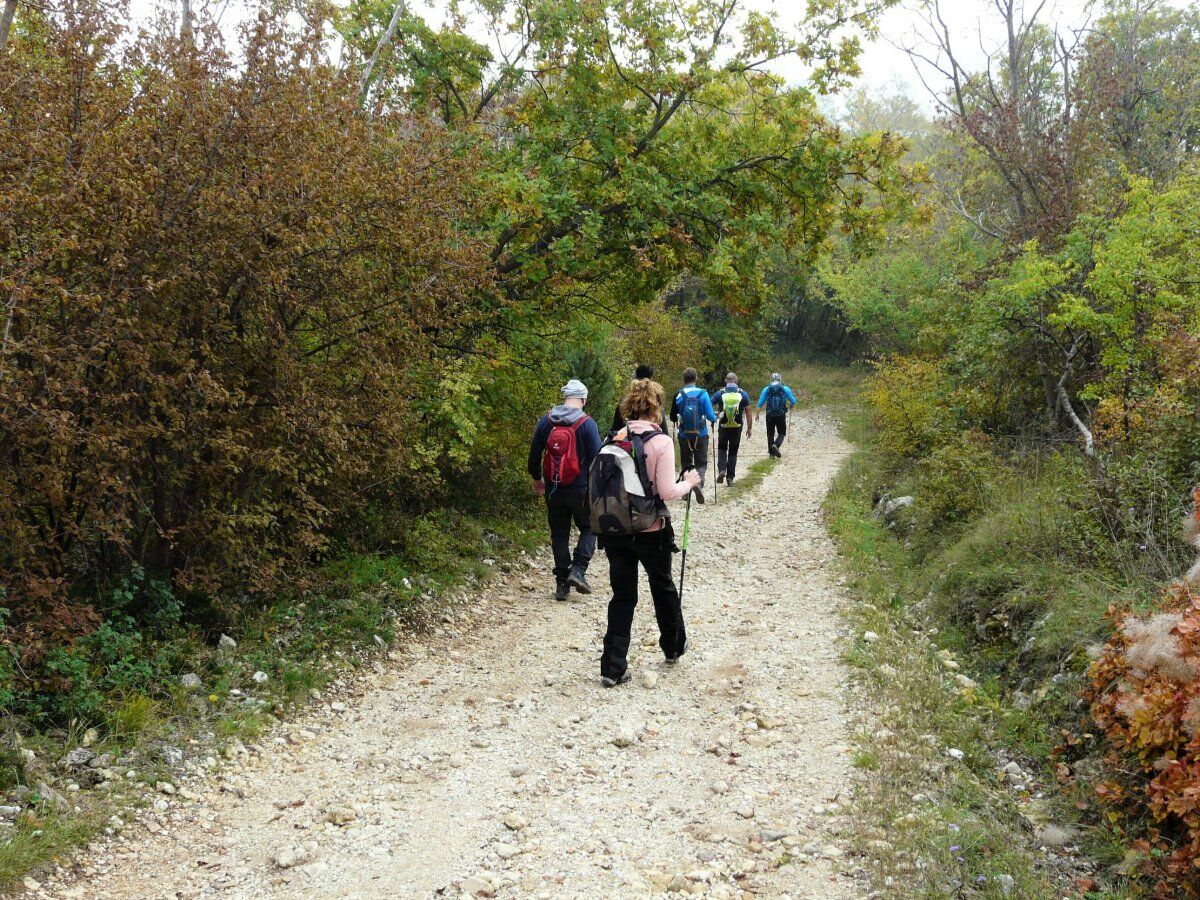 Trekking a Lumignano: tra la Natura incontrastata dei Colli Berici desktop picture