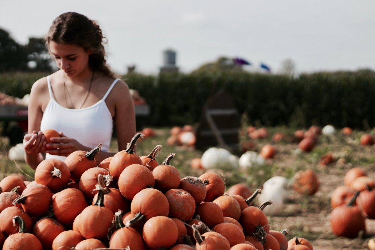 Halloween esclusiva Caccia al Tesoro: Due Giorni tra Sapori della La Magna Longa desktop picture