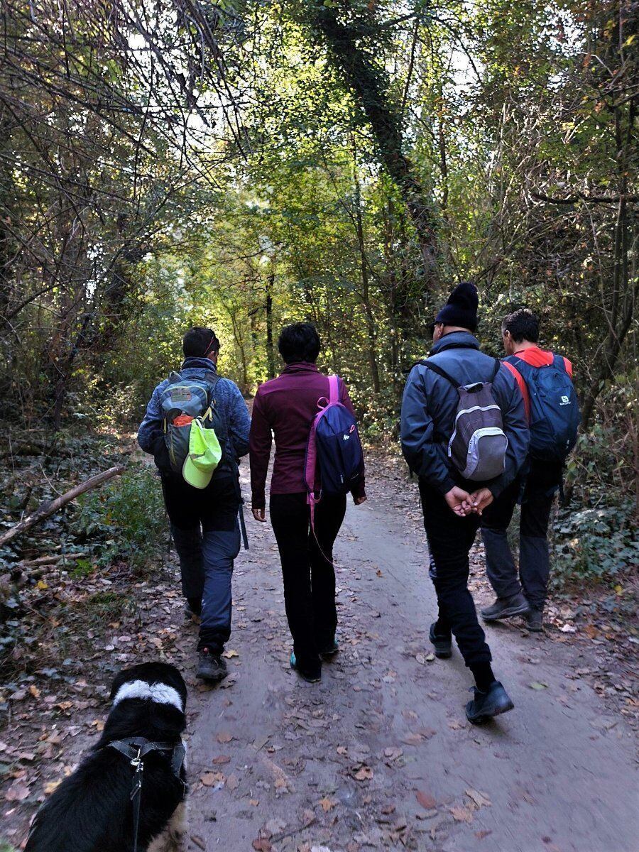 Trekking dal Parco della Chiusa al Parco San Pellegrino Trekking dal Parco della Chiusa al Parco San Pellegrino desktop picture