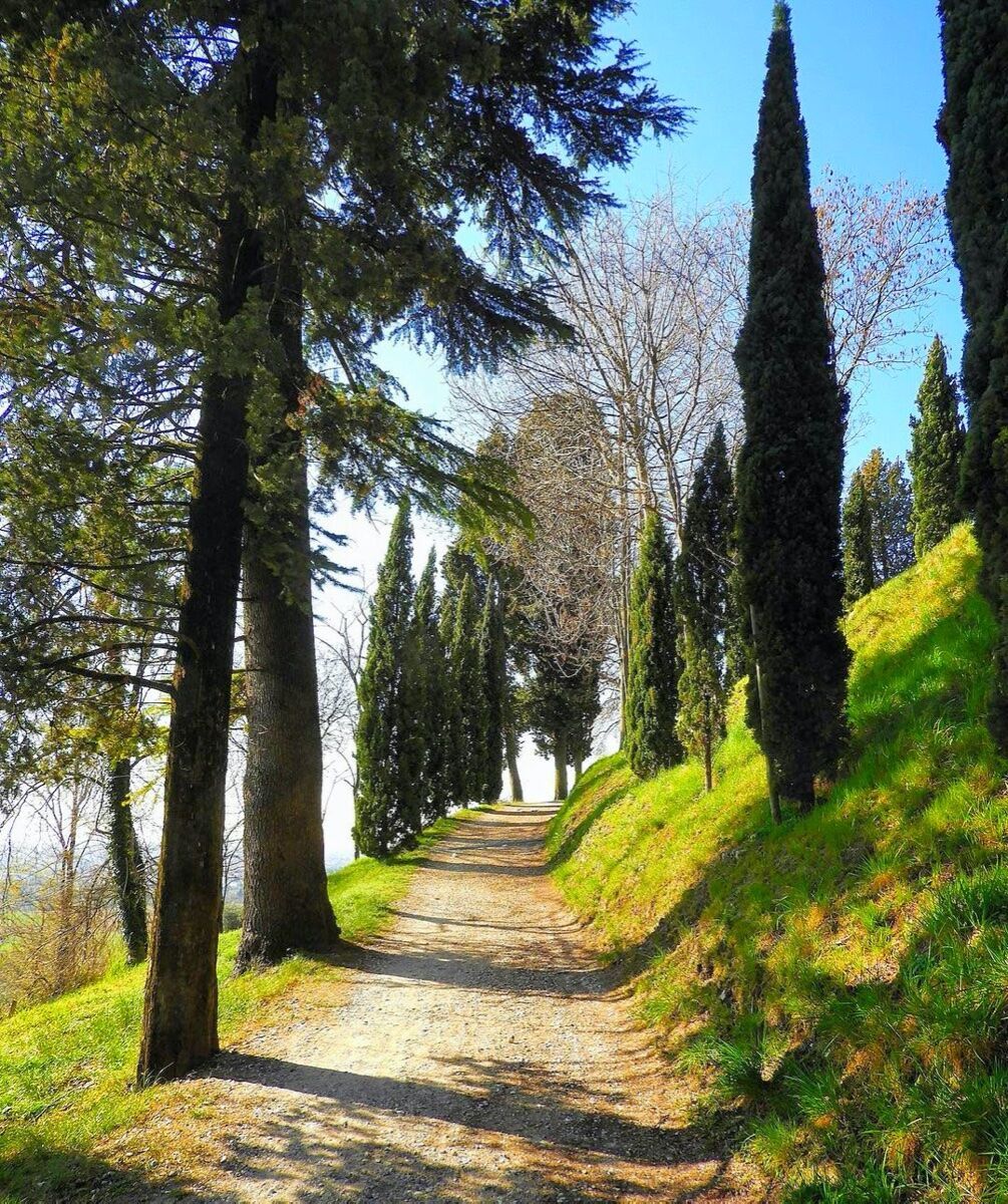 Passeggiata sul Colle Dante con Aperitivo Esclusivo a Villa Stecchini desktop picture