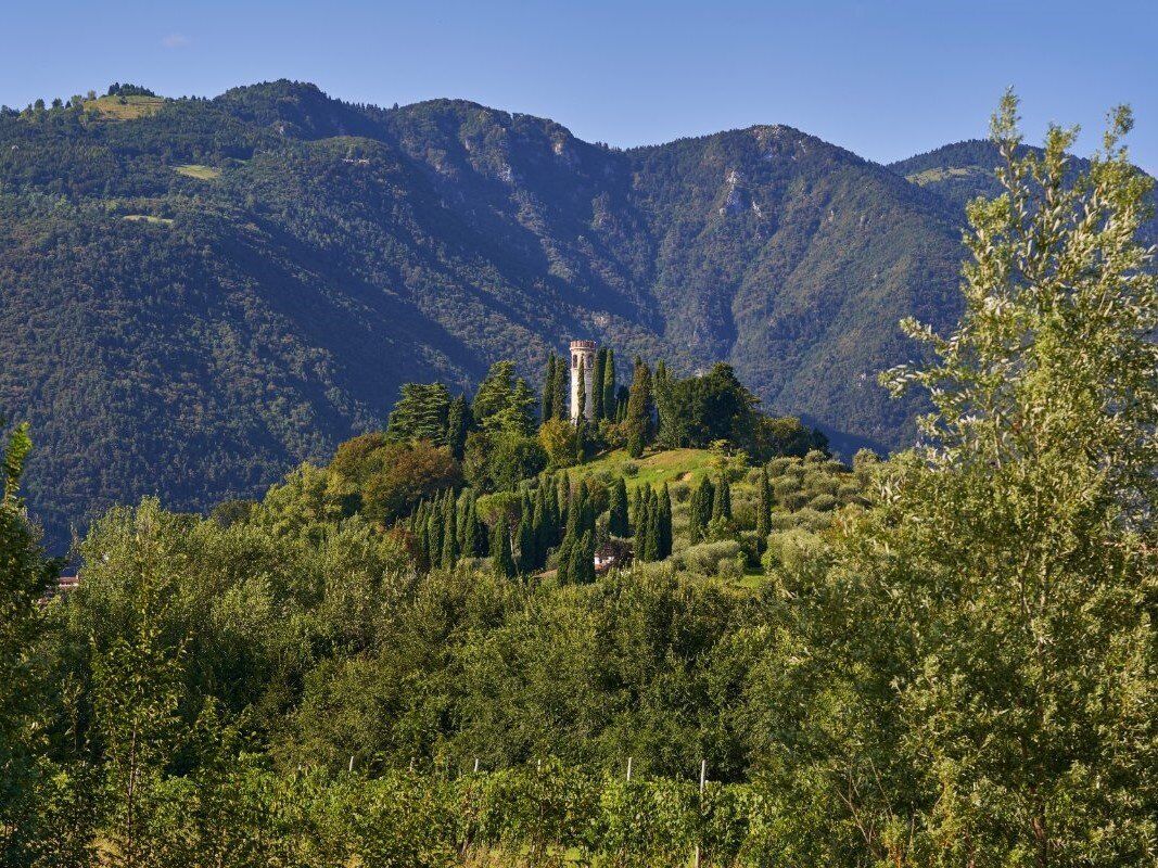 Passeggiata sul Colle Dante con Aperitivo Esclusivo a Villa Stecchini Passeggiata sul Colle Dante con Aperitivo Esclusivo a Villa Stecchini desktop picture