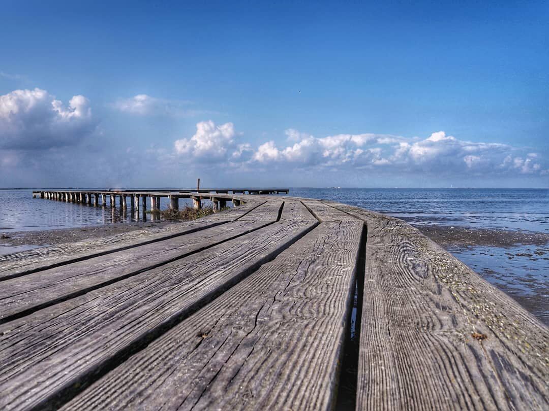 Uscita di Gruppo all'Antica Spiaggia della Boschettona Uscita di Gruppo all'Antica Spiaggia della Boschettona desktop picture
