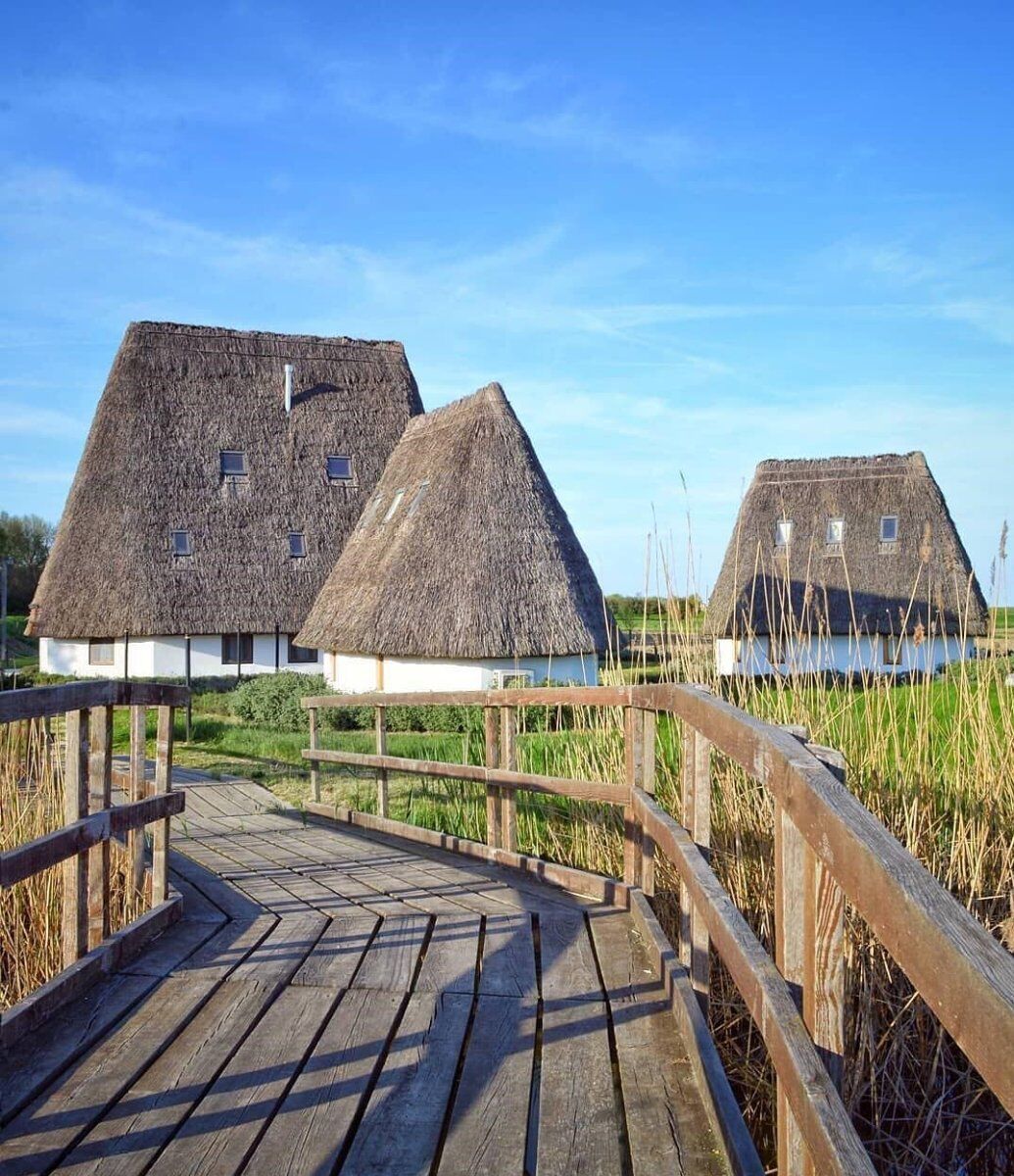 Uscita di Gruppo all'Antica Spiaggia della Boschettona Uscita di Gruppo all'Antica Spiaggia della Boschettona desktop picture