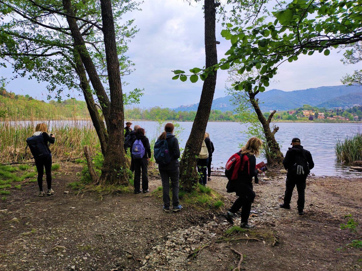Passeggiata tra il Lago di Montorfano e le Colline Comasche Passeggiata tra il Lago di Montorfano e le Colline Comasche desktop picture