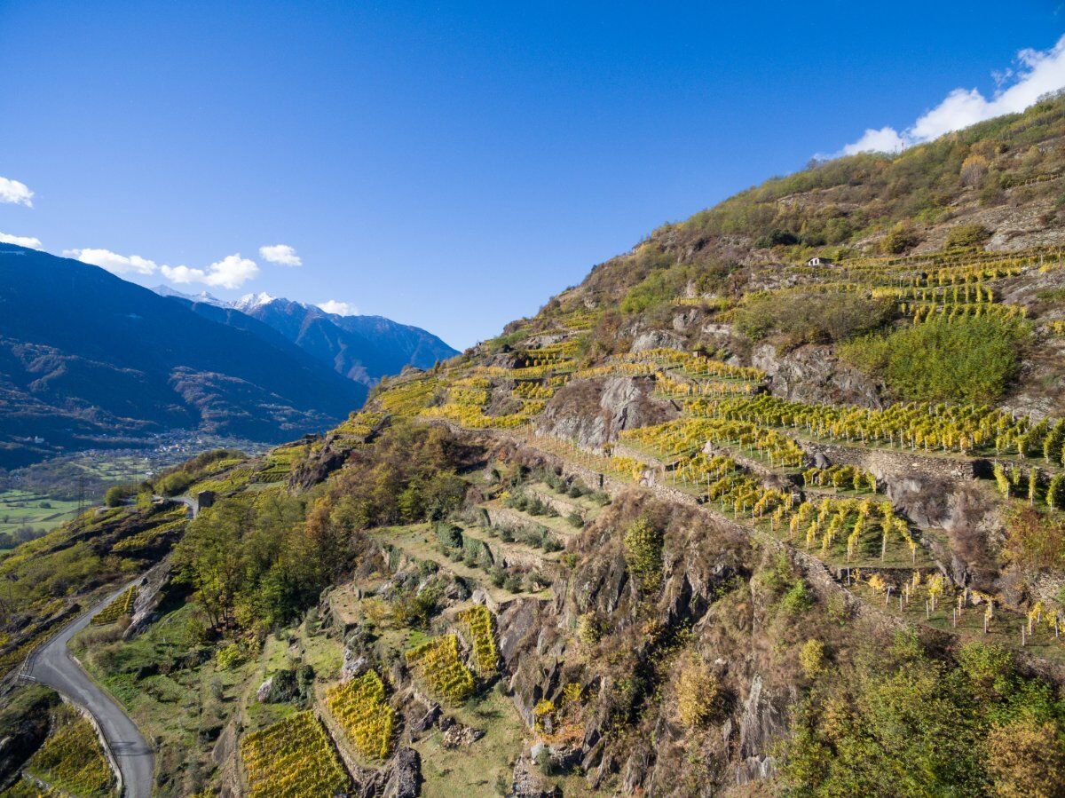 Trekking nel cuore della Sassella: la Viticoltura Eroica Valtellinese desktop picture