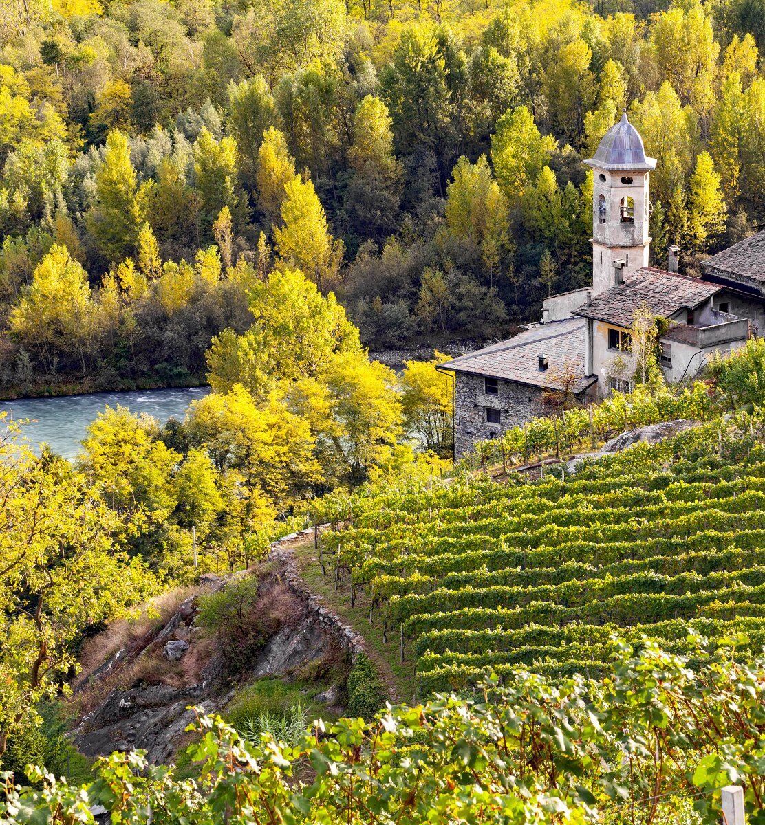 Trekking nel cuore della Sassella: la Viticoltura Eroica Valtellinese desktop picture