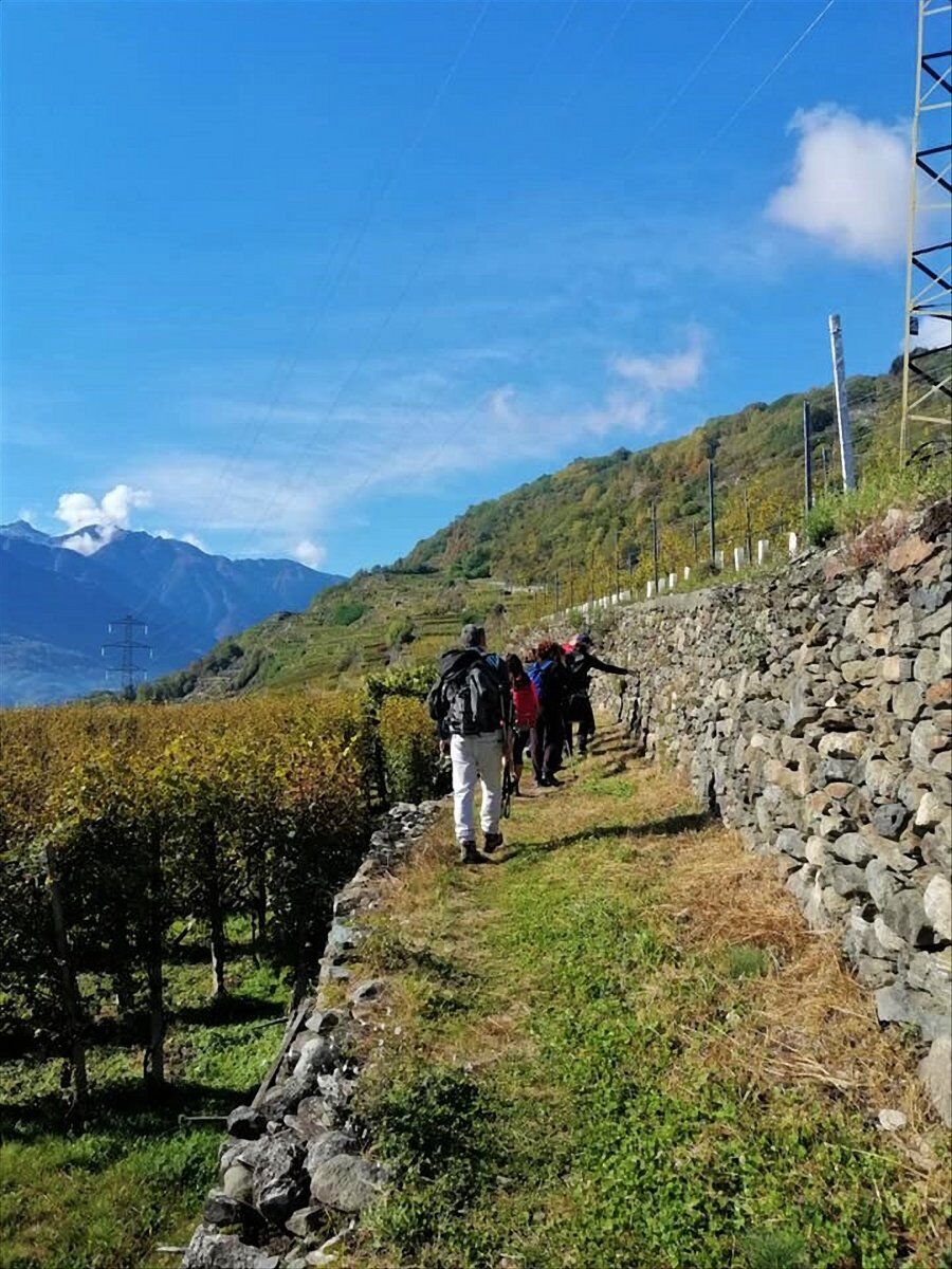 Trekking nel cuore della Sassella: la Viticoltura Eroica Valtellinese desktop picture
