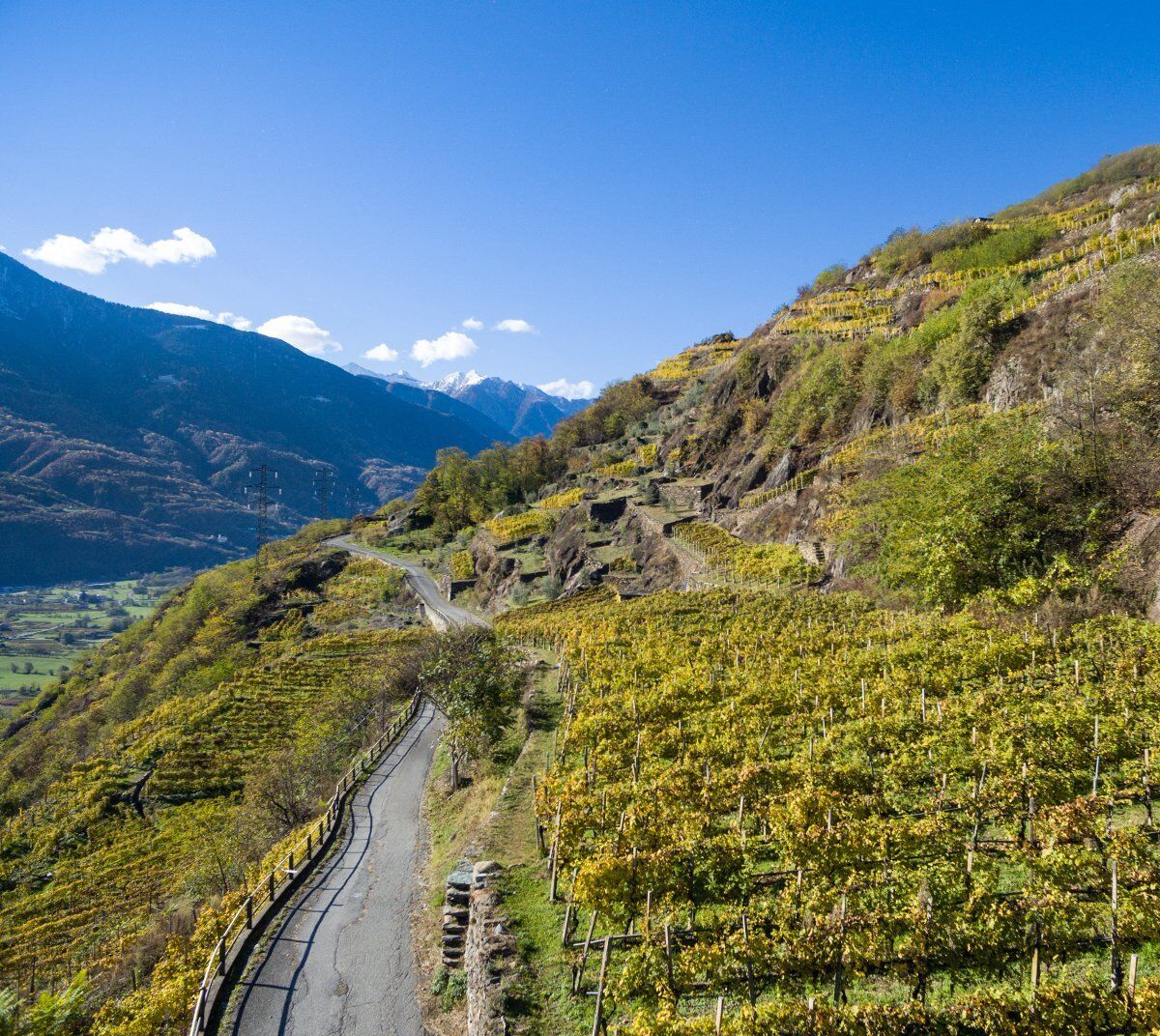 Trekking nel cuore della Sassella: la Viticoltura Eroica Valtellinese Trekking nel cuore della Sassella: la Viticoltura Eroica Valtellinese desktop picture