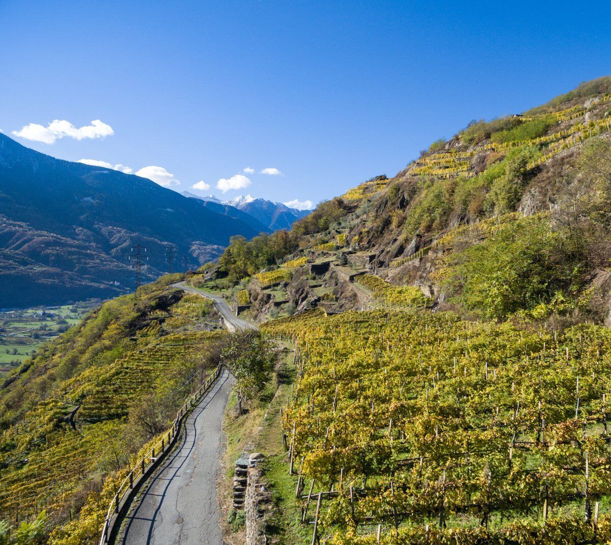 Trekking nel cuore della Sassella: la Viticoltura Eroica Valtellinese desktop picture