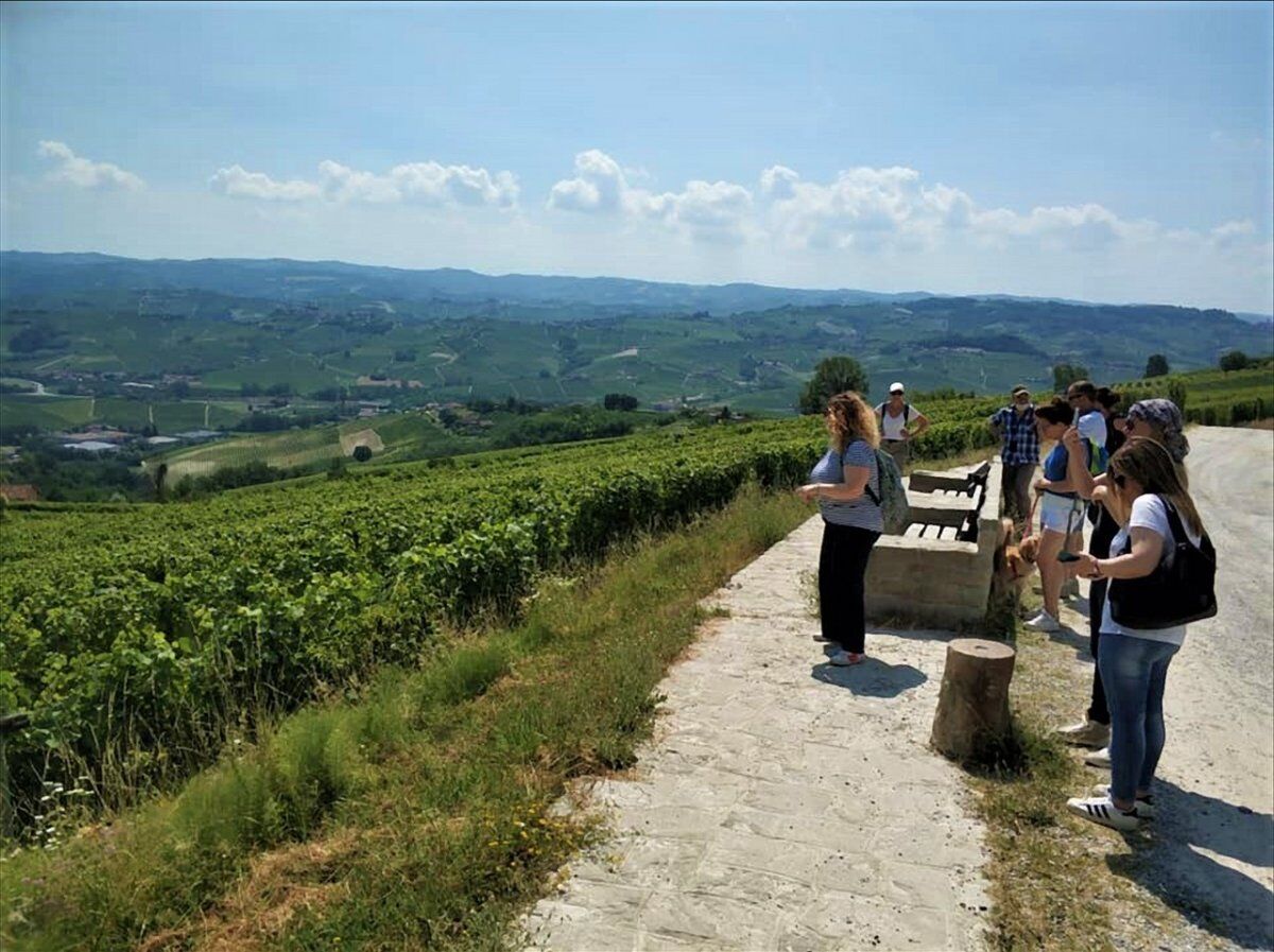 Tour Guidato nelle Langhe: La Morra desktop picture