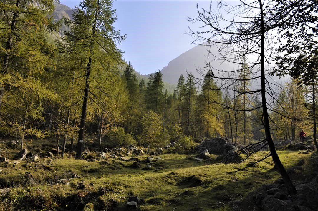 Escursione Serale in Val Servin desktop picture