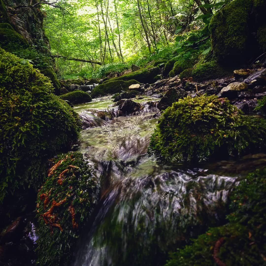 Trekking nella Natura della Valle Scurosa desktop picture