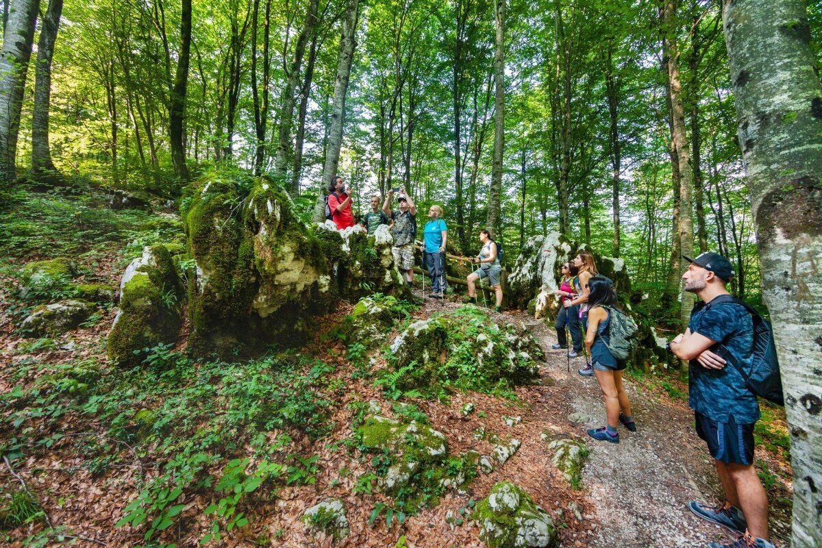 Lago di Barcis: Trekking nello Smeraldo delle Dolomiti desktop picture