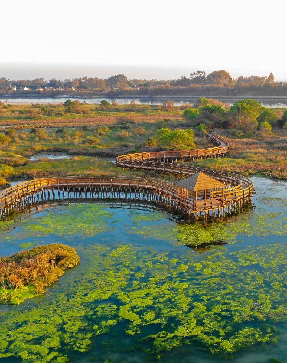 L'Incantesimo del Delta del Po: Il Giardino Litoraneo di Porto Caleri desktop picture