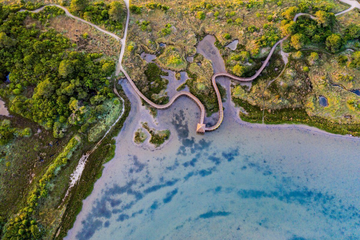 L'Incantesimo del Delta del Po: Il Giardino Litoraneo di Porto Caleri desktop picture