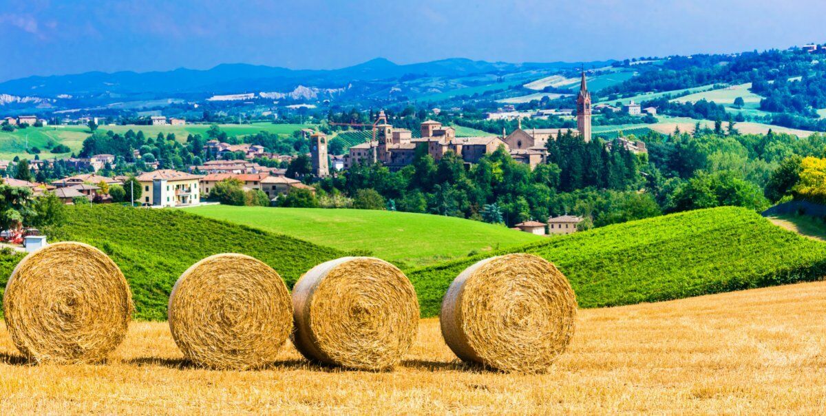 Escursione a Castelvetro tra le Colline del Grasparossa Escursione a Castelvetro tra le Colline del Grasparossa desktop picture