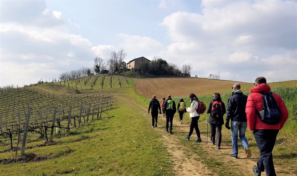 Escursione a Castelvetro tra le Colline del Grasparossa Escursione a Castelvetro tra le Colline del Grasparossa desktop picture