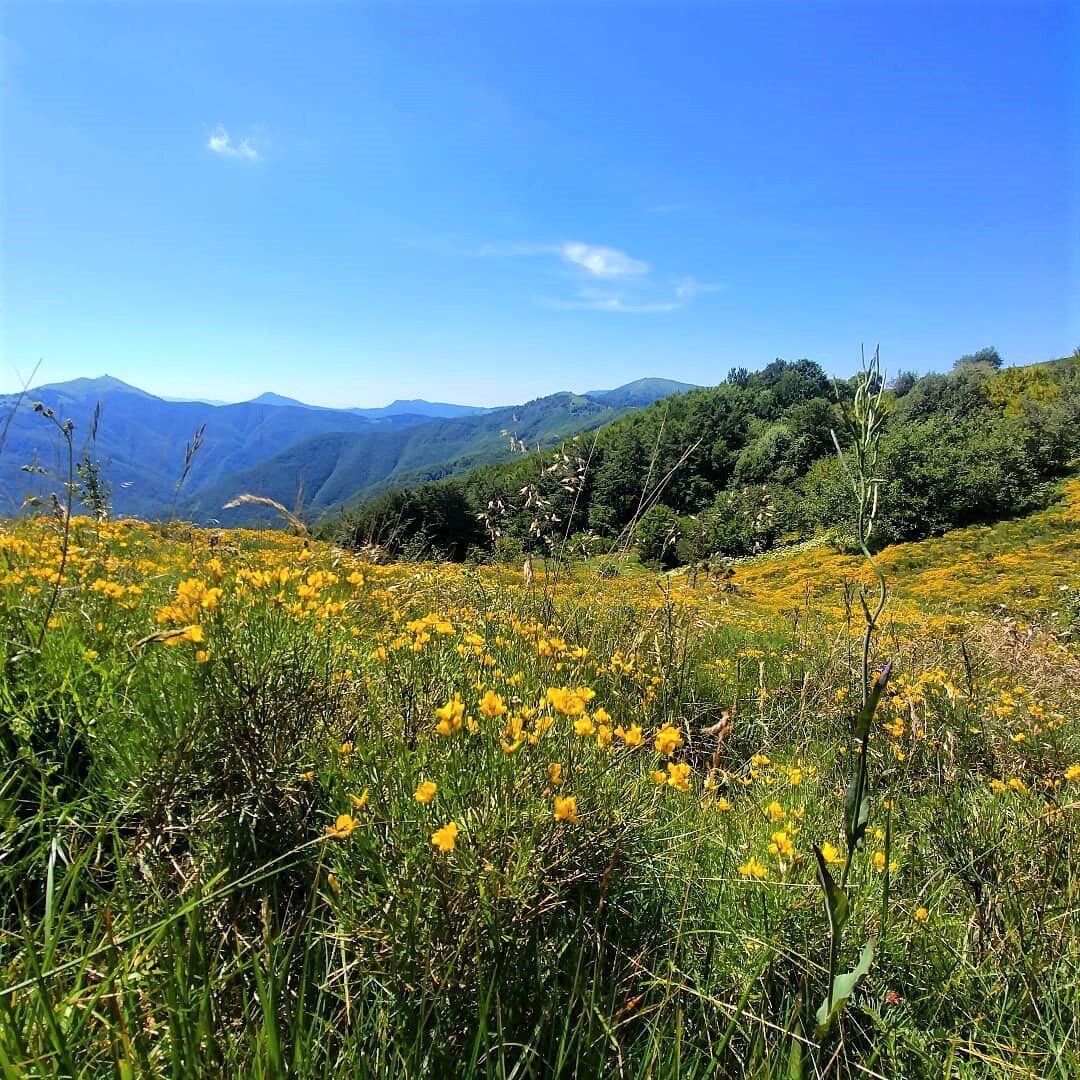 L’Antica Via del Sale: Trekking con Degustazione al Monte Bagnolo L’Antica Via del Sale: Trekking con Degustazione al Monte Bagnolo desktop picture