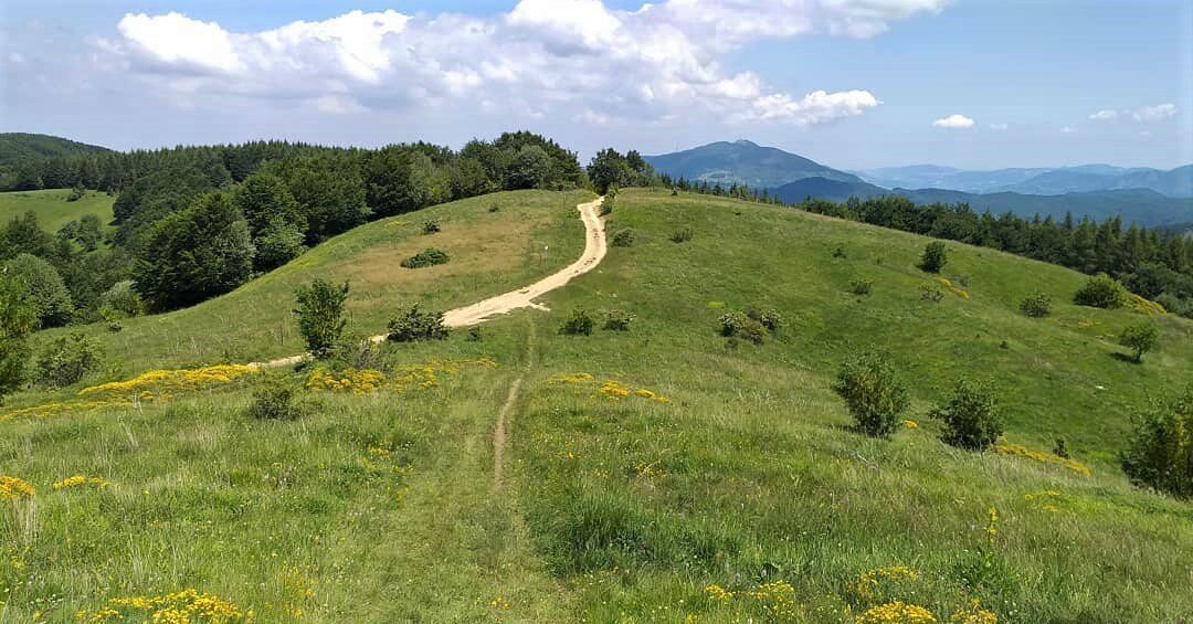 L’Antica Via del Sale: Trekking con Degustazione al Monte Bagnolo L’Antica Via del Sale: Trekking con Degustazione al Monte Bagnolo desktop picture