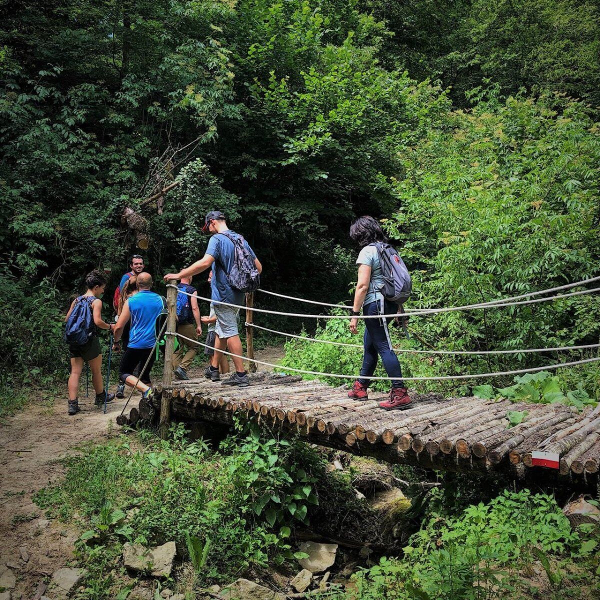 Dall'Orrido di Gea all'Urlo di Munch: escursione tra formazioni geologiche Dall'Orrido di Gea all'Urlo di Munch: escursione tra formazioni geologiche desktop picture