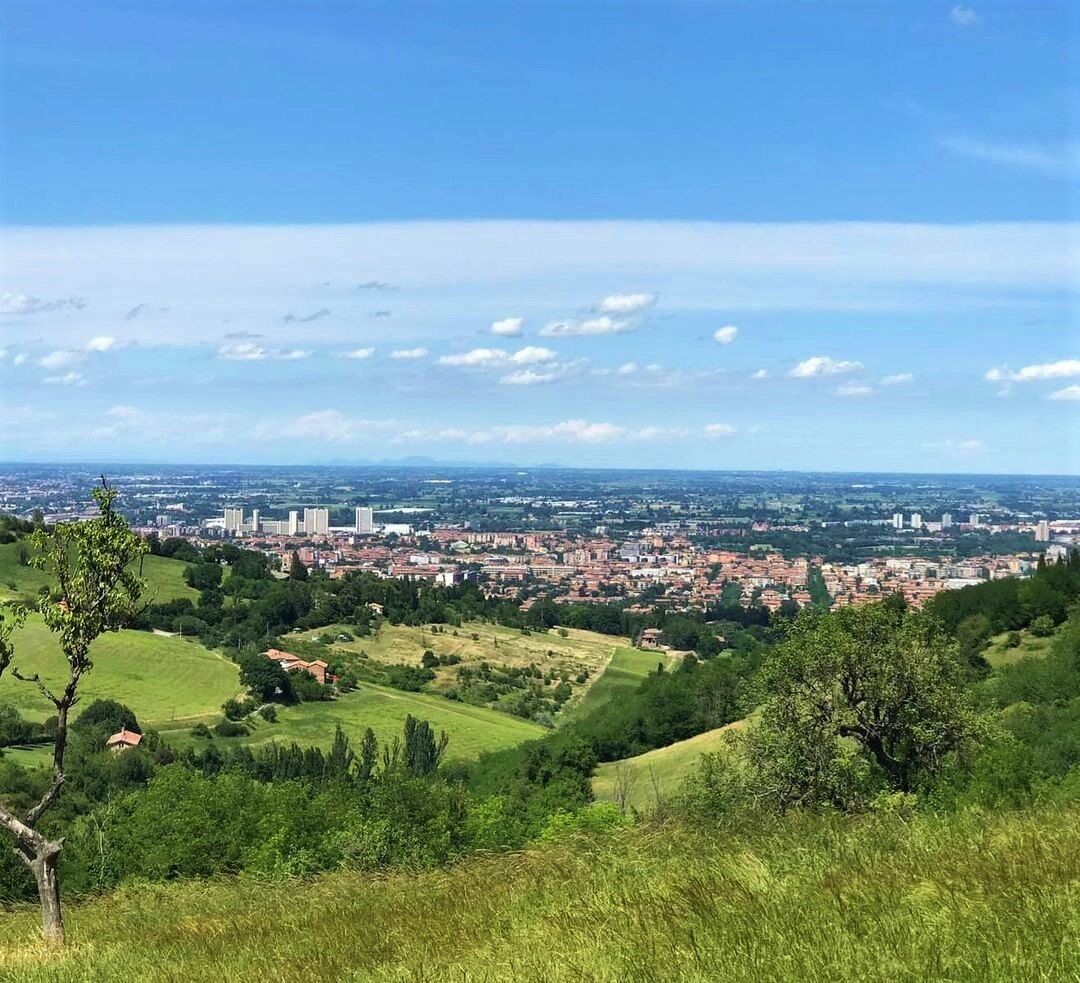 Sulla Via del Gesso degli Artisti: Camminata al Monte Donato Sulla Via del Gesso degli Artisti: Camminata al Monte Donato desktop picture