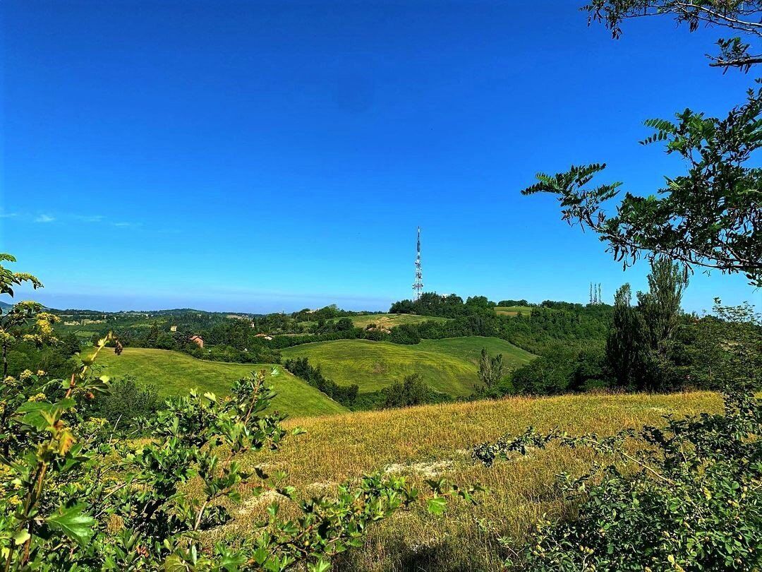 Sulla Via del Gesso degli Artisti: Camminata al Monte Donato Sulla Via del Gesso degli Artisti: Camminata al Monte Donato desktop picture