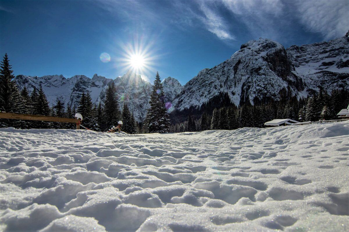 Ciaspolata a Malga Maraia nelle Dolomiti del Cadore (Ciaspole Incluse) desktop picture