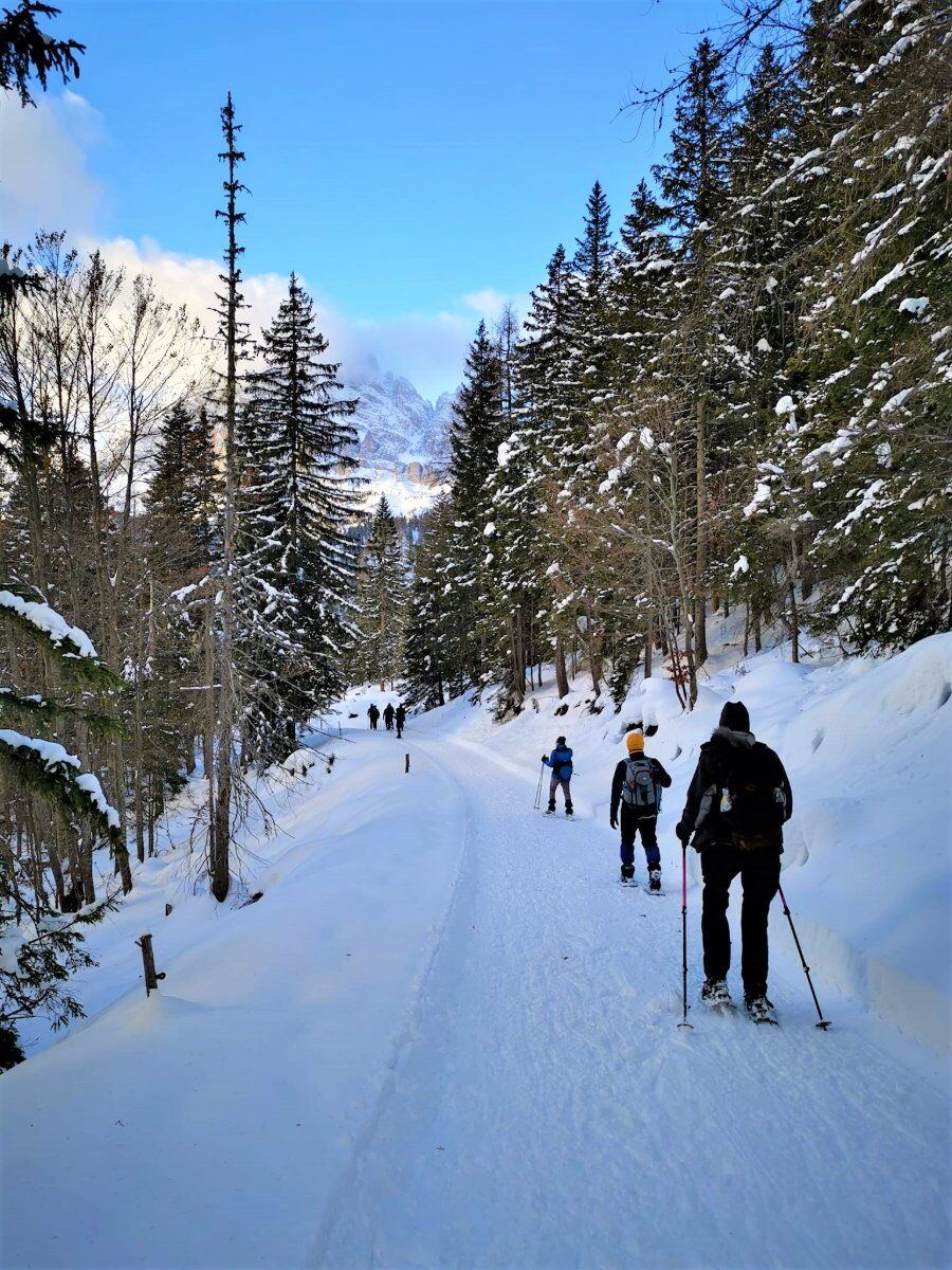 Ciaspolata a Malga Maraia nelle Dolomiti del Cadore (Ciaspole Incluse) desktop picture