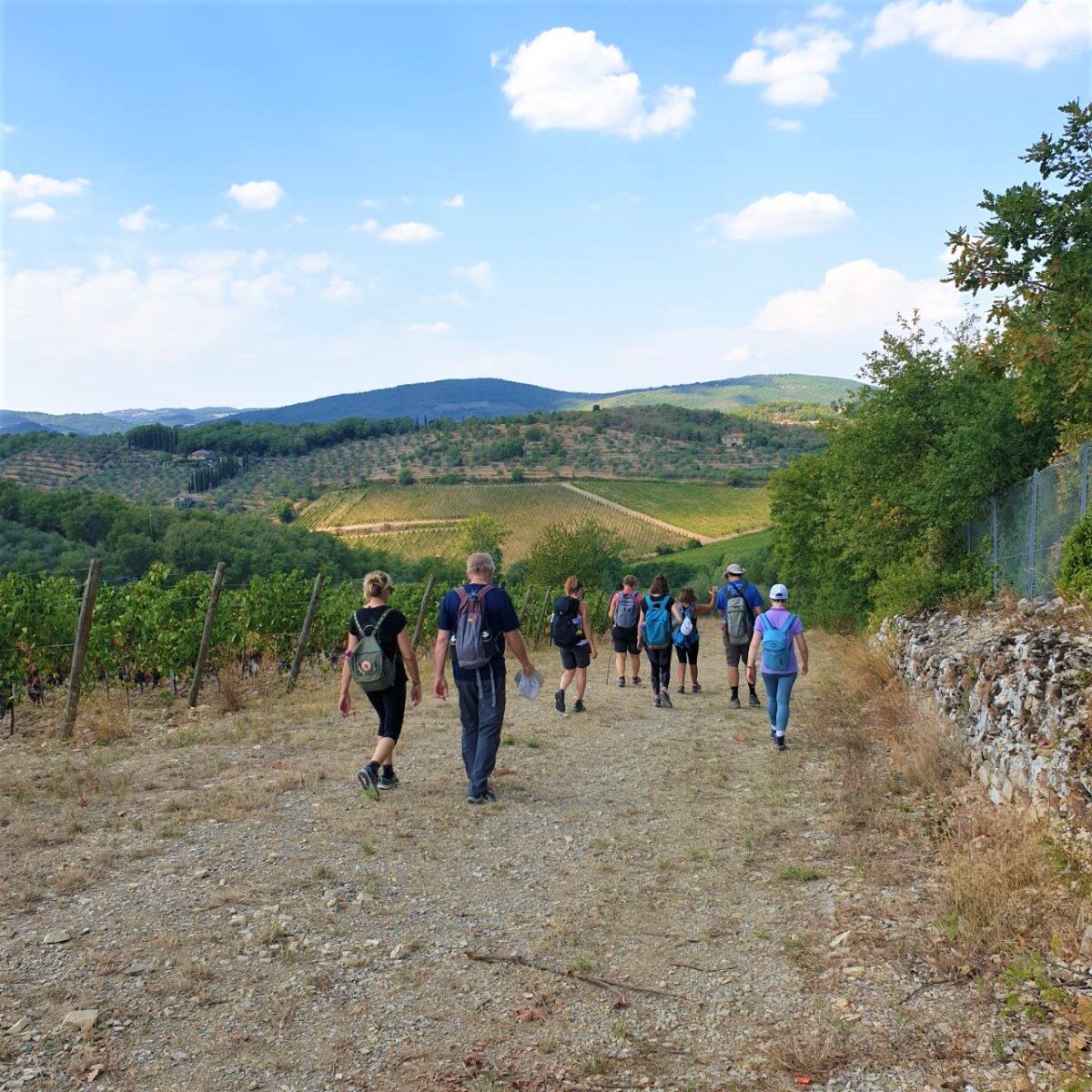 Di Pieve in Castello: Escursione nella Storia del Chianti Di Pieve in Castello: Escursione nella Storia del Chianti desktop picture