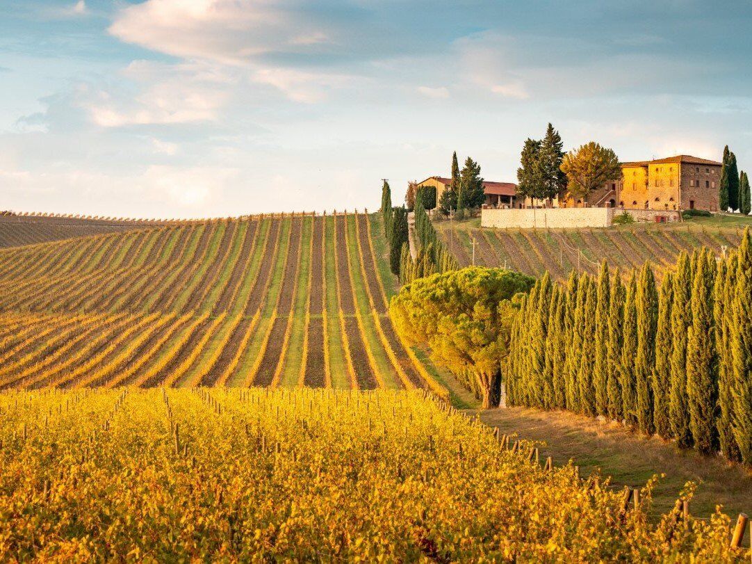 Di Pieve in Castello: Escursione nella Storia del Chianti desktop picture