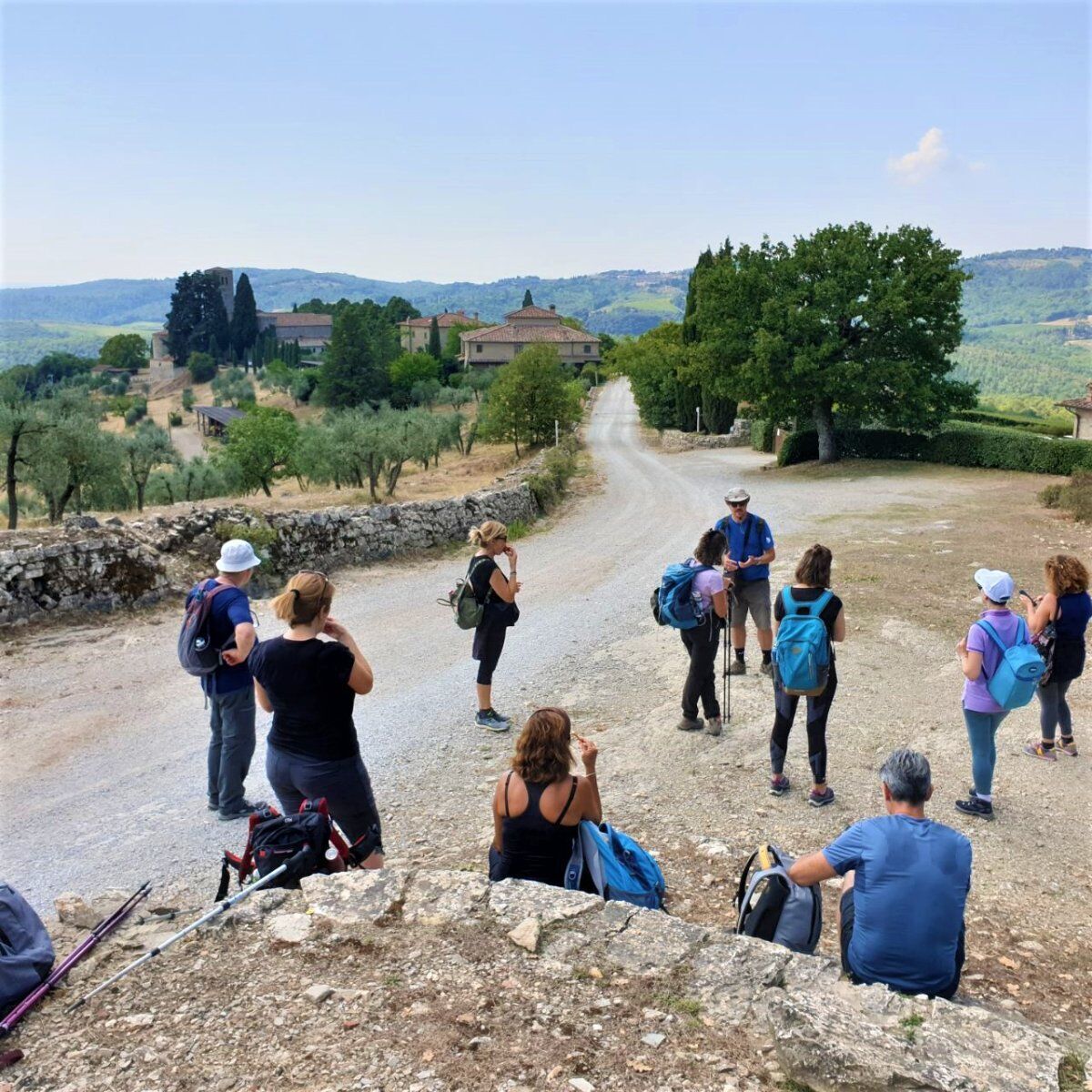 Di Pieve in Castello: Escursione nella Storia del Chianti desktop picture