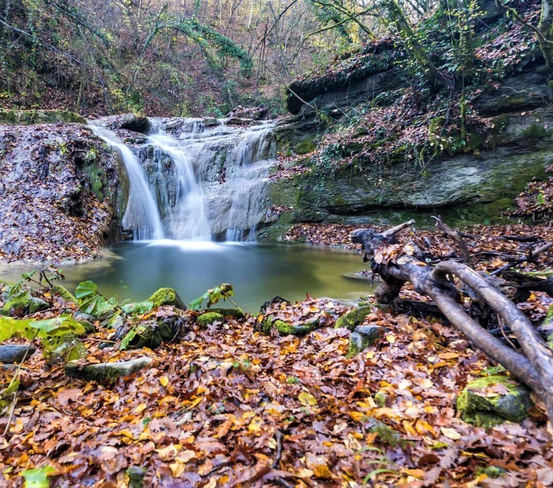 Trekking tra gli antichi Borghi nelle Foreste Casentinesi desktop picture